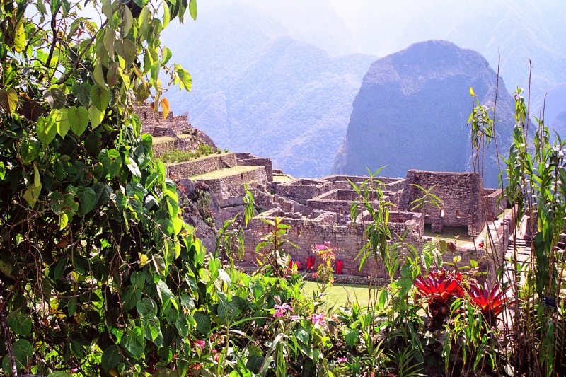 Zuid Peru (318)