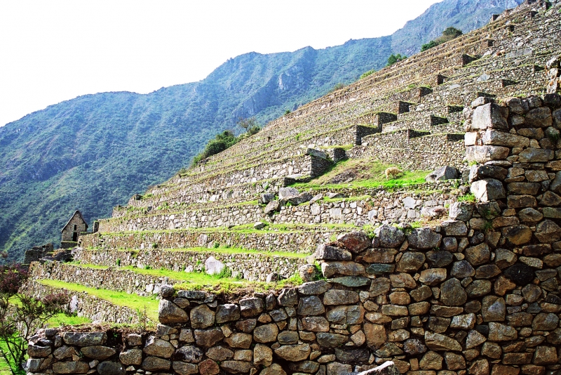 Zuid Peru (324)