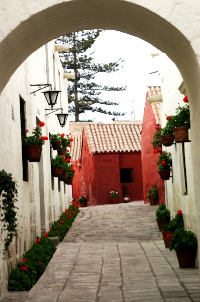 Zuid Peru (67)