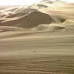 Zuid Peru (12)