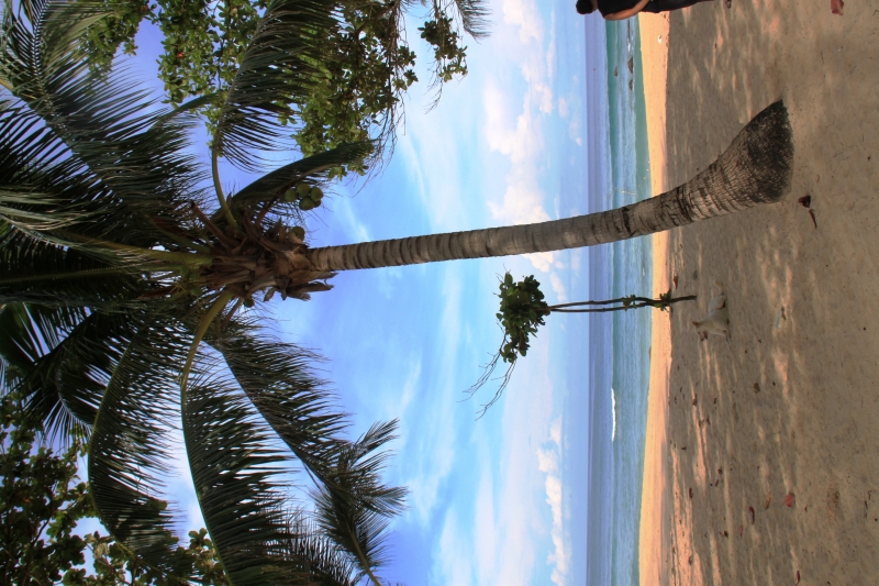 Zuid Thailand (6)
