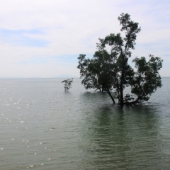 Zuid Thailand (14)