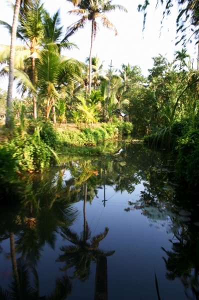 Zuid West India (112)