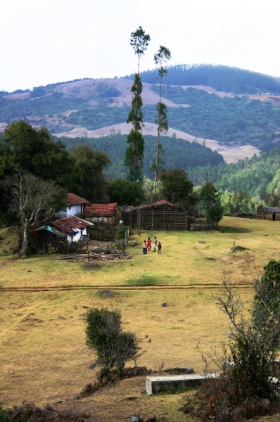 Zuid West India (113)