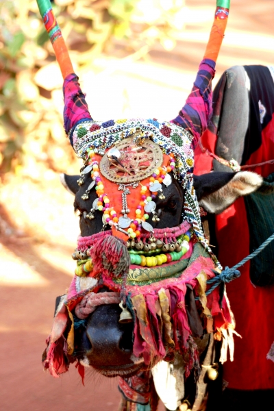 Zuid West India (38)