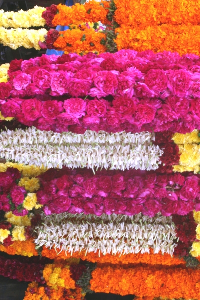 Zuid West India (69)
