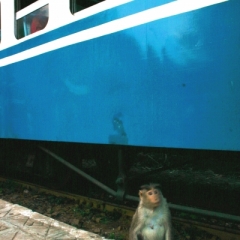 Zuid West India (20)